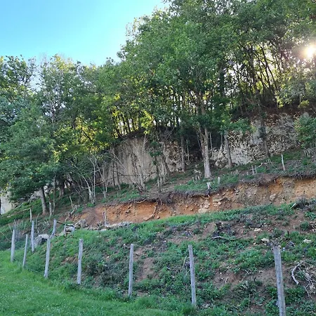Le Sechoir Des Acacias 3 12 Personnes Avec Piscine Chauffee * Saint-Leon-sur-Vezere