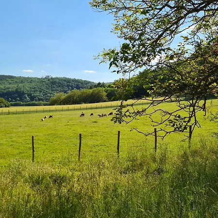 Le Séchoir Des Acacias 3 12 Personnes Avec Piscine Chauffée Saint-Leon-sur-Vezere